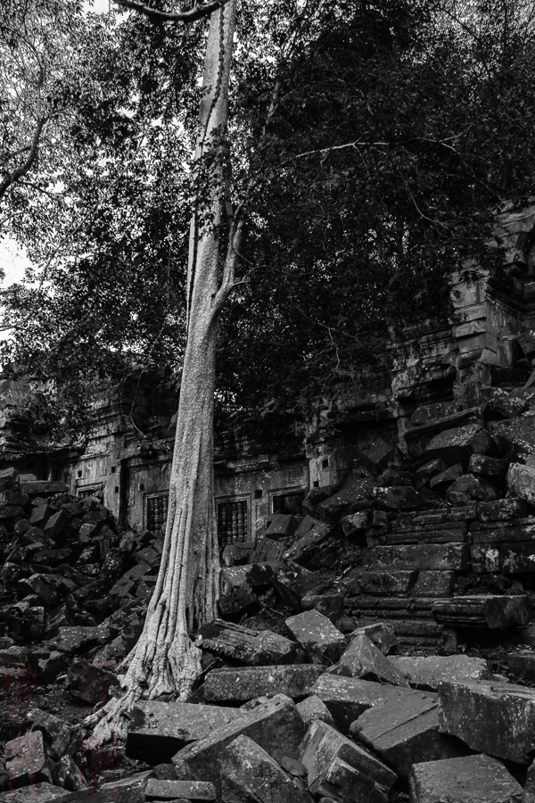 _DSC3504