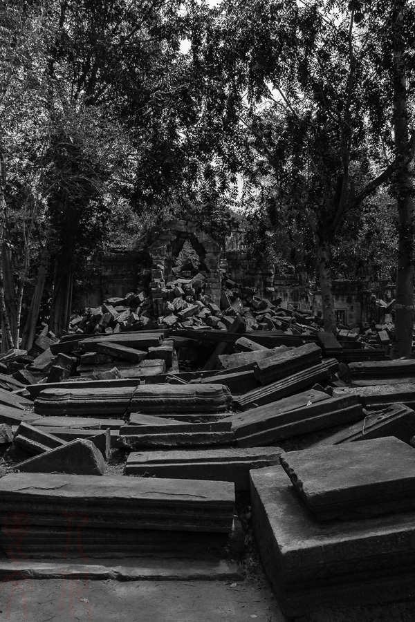 _DSC3534