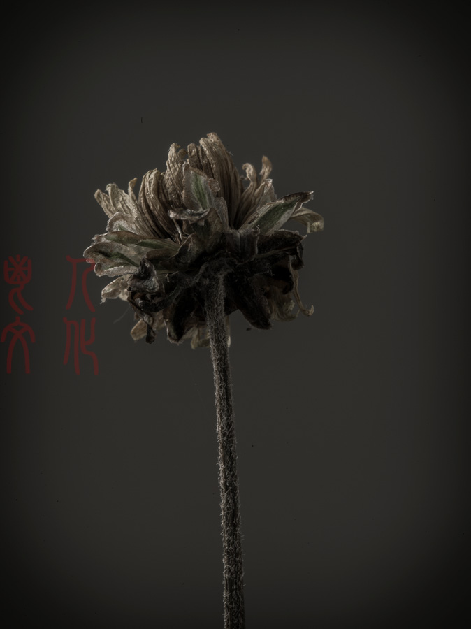 0012019