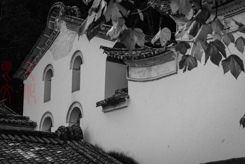 杨意明01