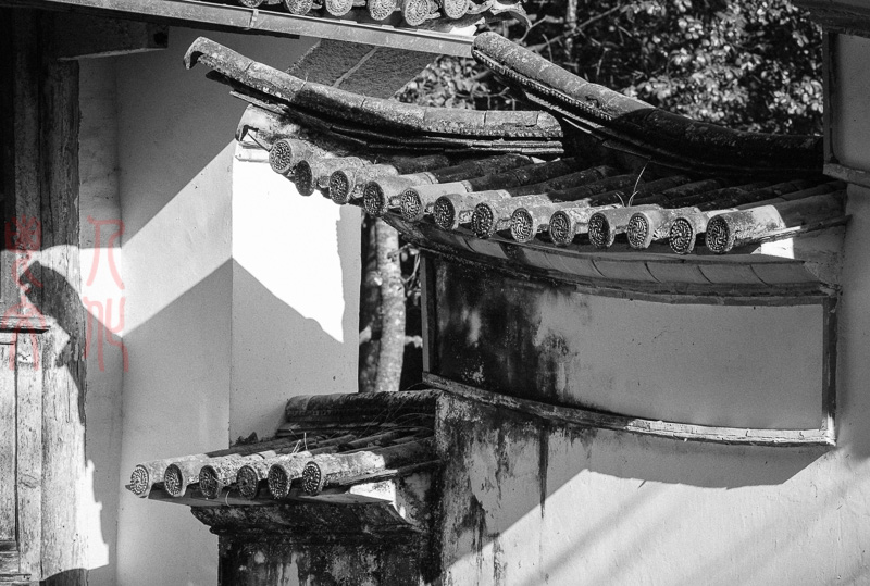 杨意明04