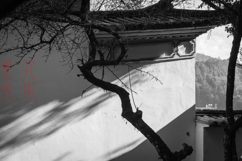 杨意明05