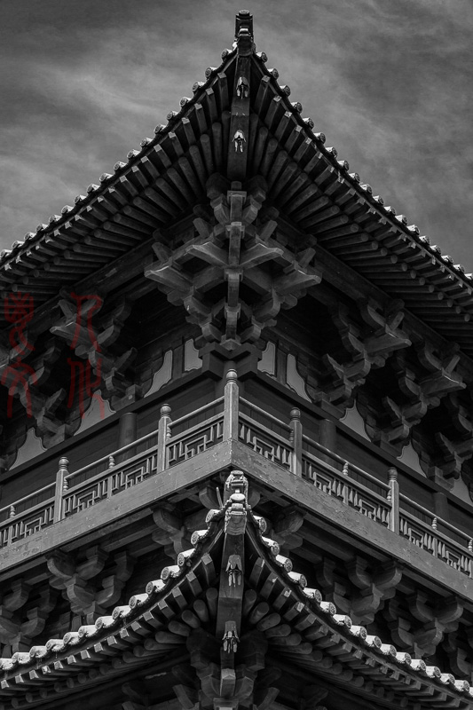 杜淑清06
