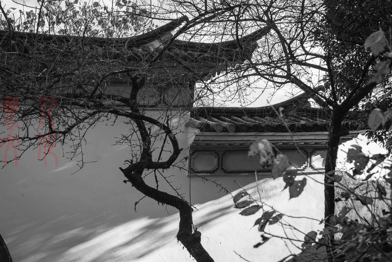 杨意明06
