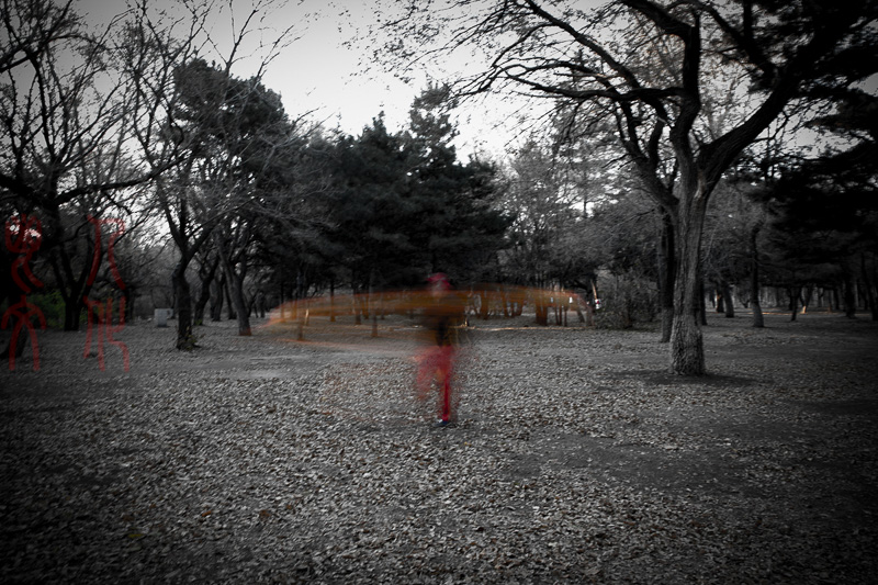 李有 一个人的舞蹈之四