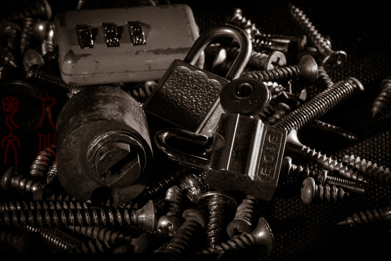 谷兰英 朝花夕拾系列之二