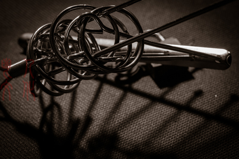 谷兰英 朝花夕拾系列之八