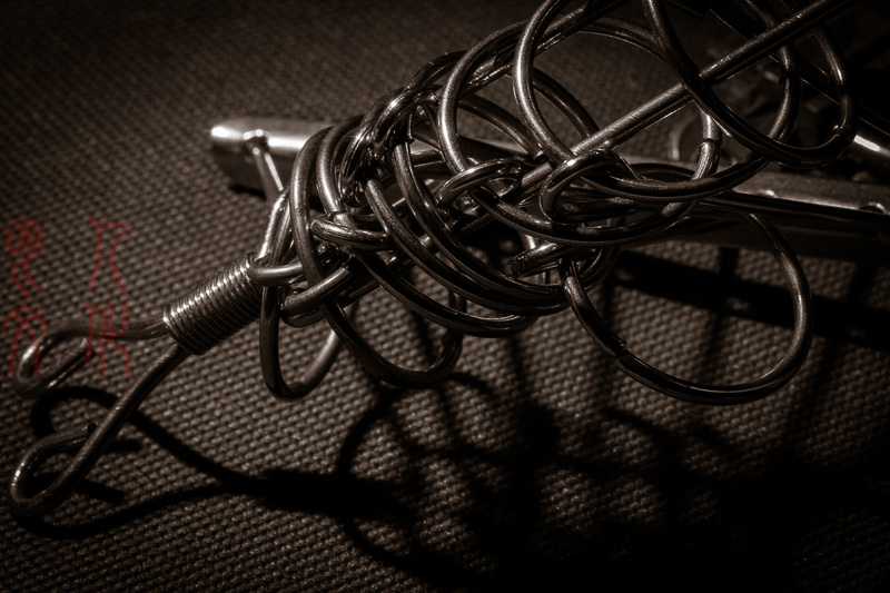 谷兰英 朝花夕拾系列之六