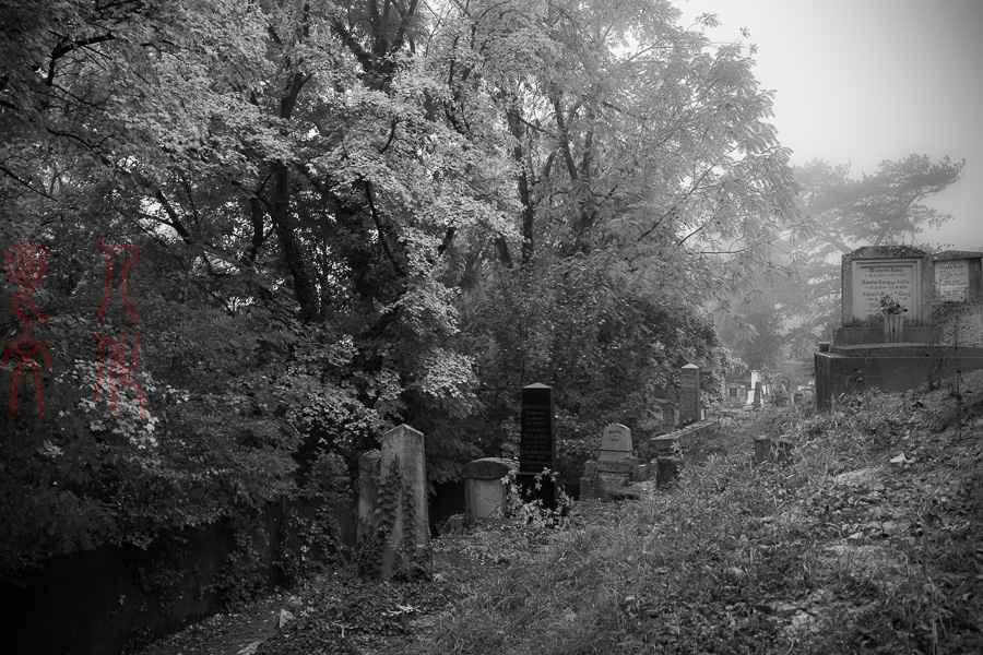 DSC00487