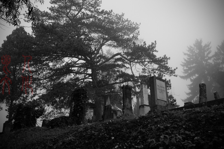 DSC00503