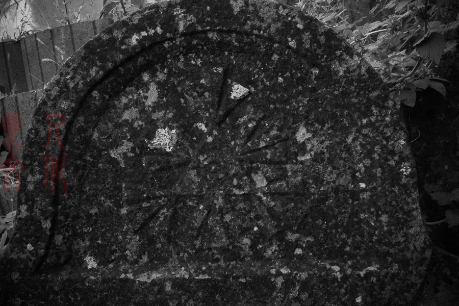 DSC00509