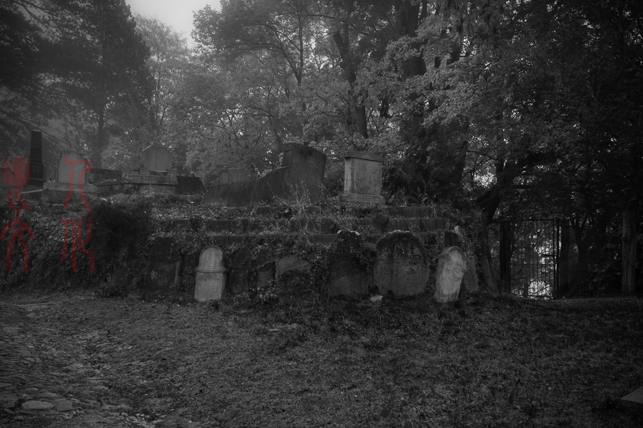 DSC00511